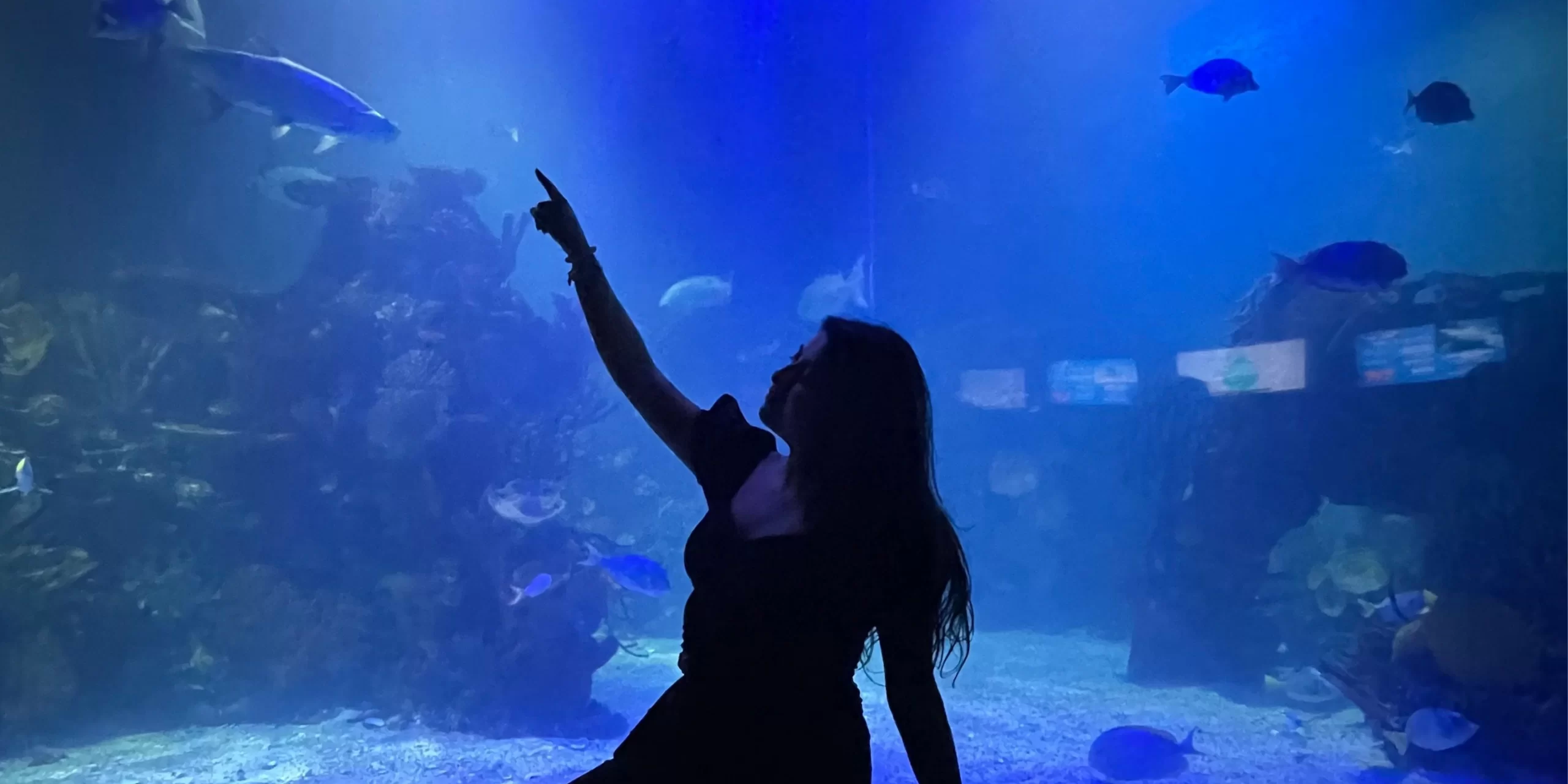 aquario-rio-de-janeiro