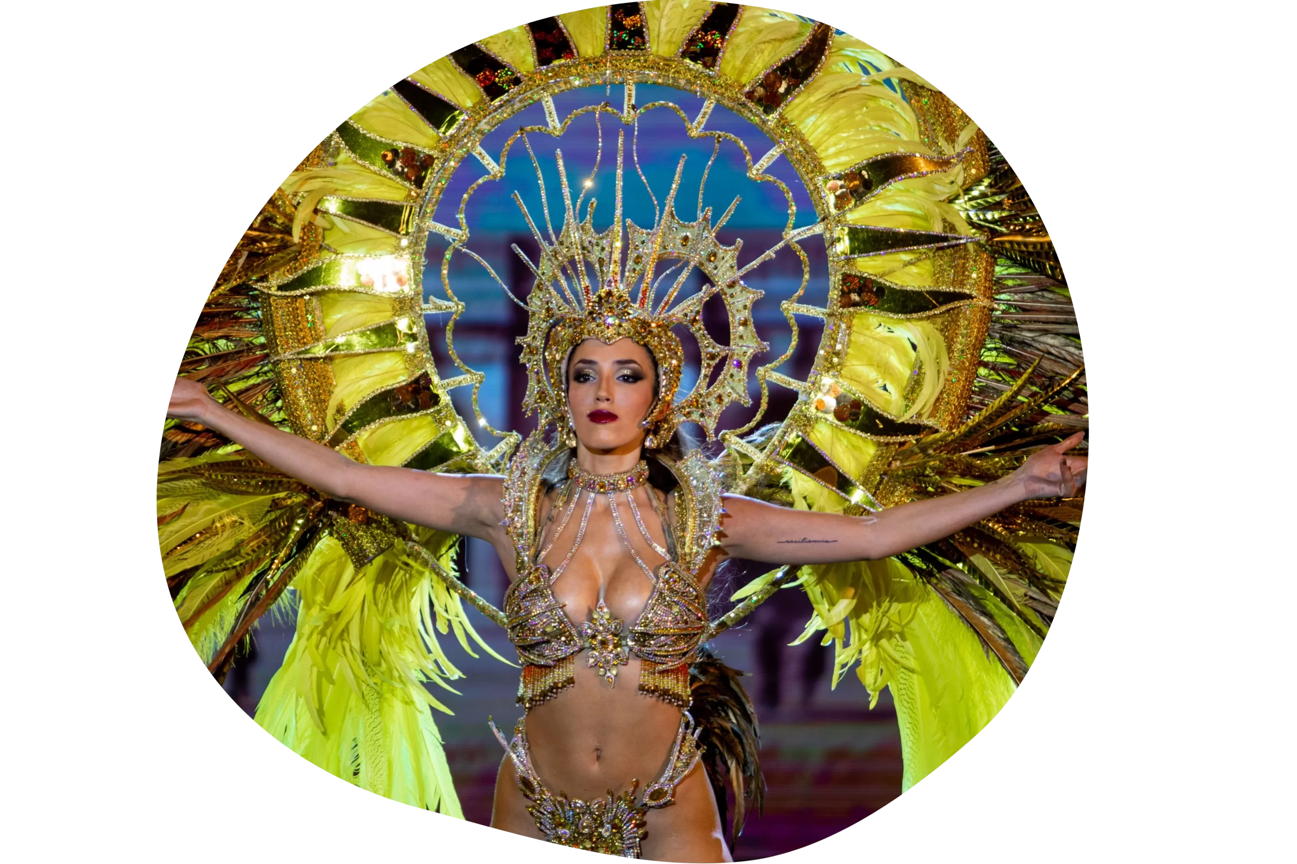 ensayo-carnaval-rio-meurio